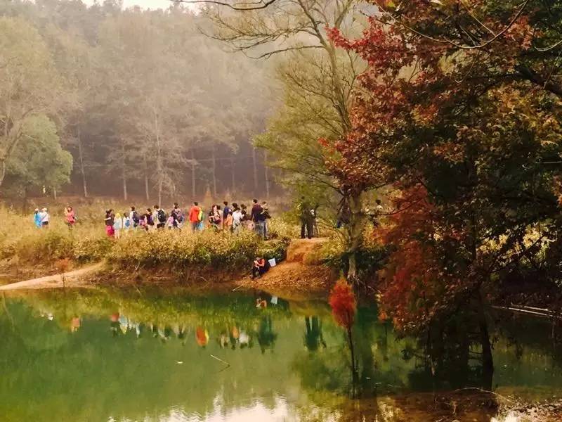 漫山蓝莓田、黑松林之间，这100户人家的乌托邦，邀你来做“后天亲人”