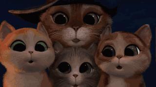 喂！住一晚160块，看次病成千上万！武汉这些狗活得太好了吧！