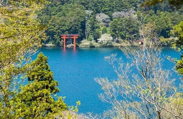 去箱根泡温泉要多少钱,箱根有专门泡温泉的地方吗