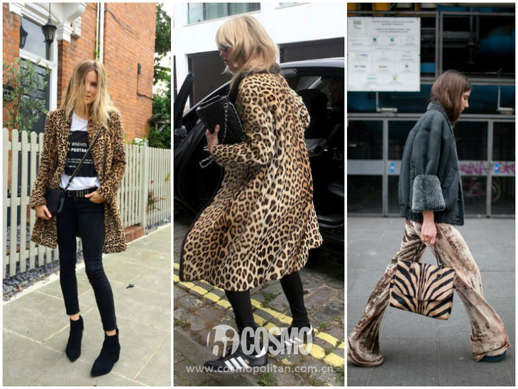 巧搭穿搭,豹纹上衣搭配什么样的上衣好看