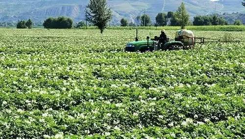 目前最全的除草剂讲解（赶紧收藏吧！）