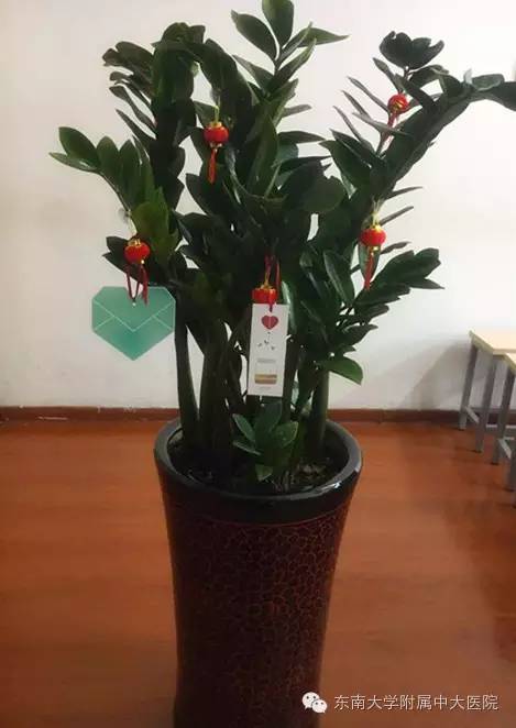 爱心传递爱心卡,爱心暖心卡