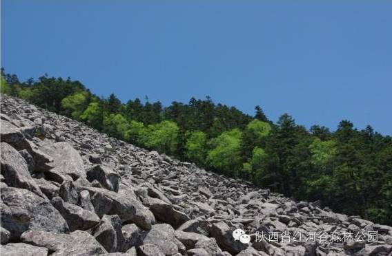9月去红河怎么玩,国庆节云南红河适合去哪旅游
