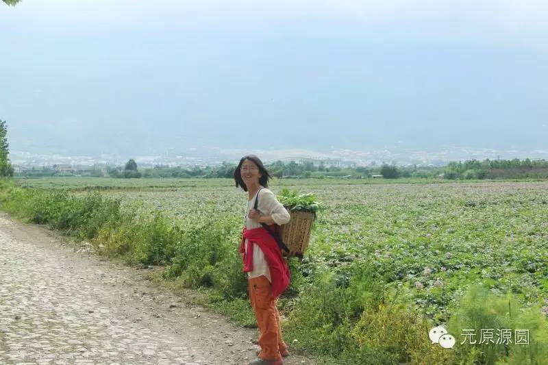 大理王媛媛,大理拍打理疗