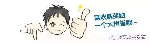 康县儿童运动会,康县球类运动会新闻