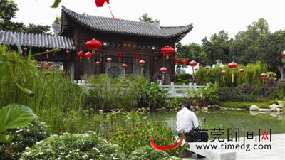 东莞又美又好玩地点,东莞新奇景点