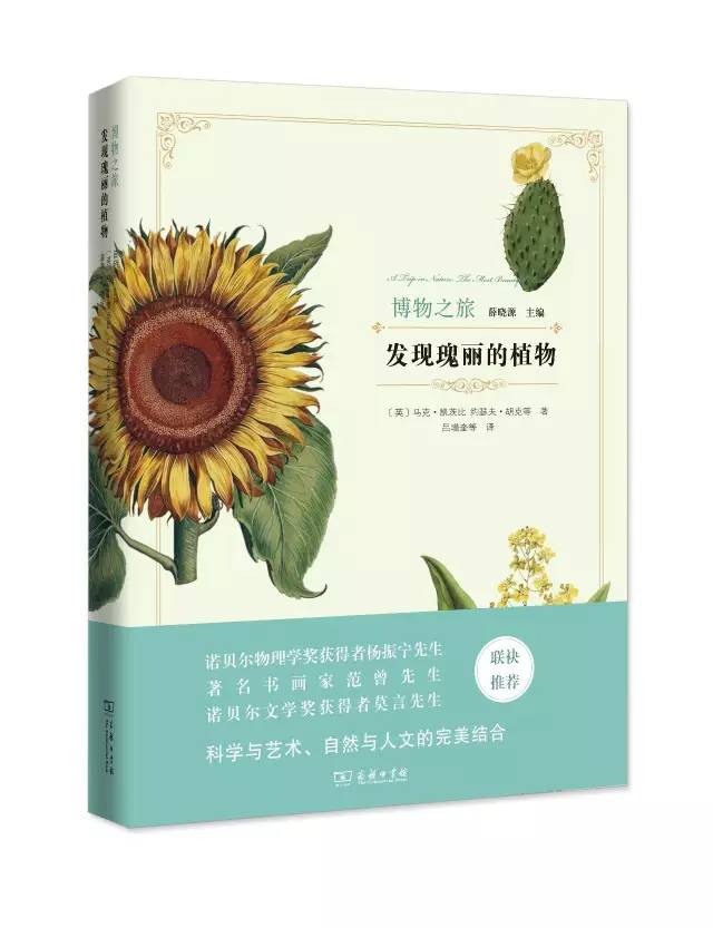 10本新书（读书，终究是为了寻找和安顿自己）