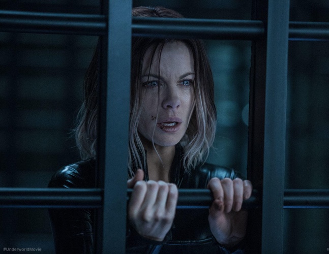 黑夜传说麦可塞琳娜,黑夜传说塞琳娜皮衣