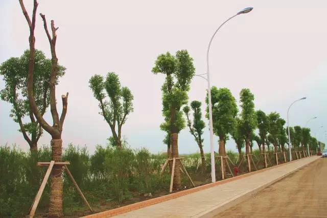 淮南水世界水上乐园,淮南冲浪水上乐园