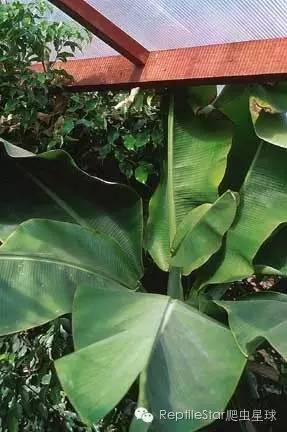 ReptileStar爬虫星球