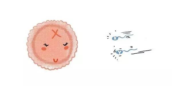 这是一篇比男人还了解“小蝌蚪”的文章