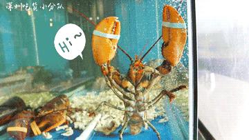 男老板是店里第2招牌菜,188元的肉包才是第1