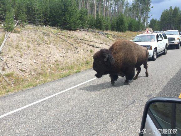在美国旅游日常,在美国旅游攻略大全最新