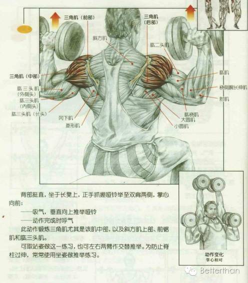 最全哑铃教学,手臂哑铃肌肉训练10个动作图解