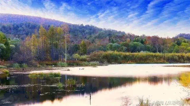 什么能够代表哈尔滨,哈尔滨代表人