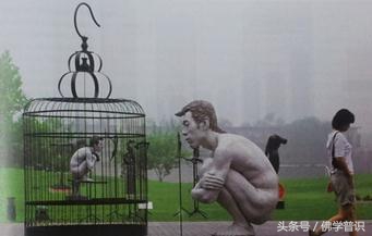 一只小鹦鹉怎么出壳,鹦鹉第一只出壳