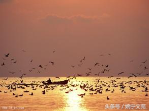 原来门罗煮得是一碗香浓的鸡汤，专治绝望。