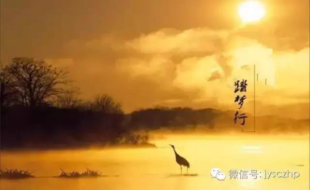 写给母亲的千古情,写给母亲的百封家书