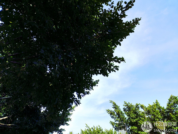 小米5s怎么样,小米s55对比小米555