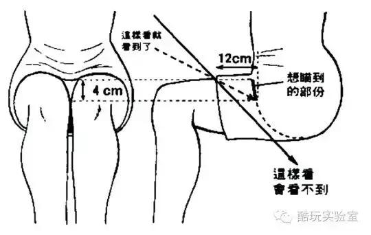 牛顿的身高有多高,牛顿身高多高