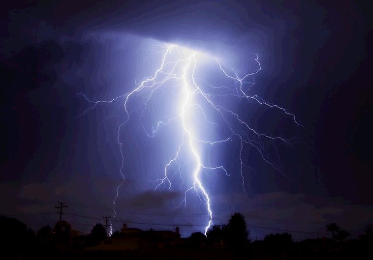 刺猬渡劫会变身吗,刺猬上马路渡劫