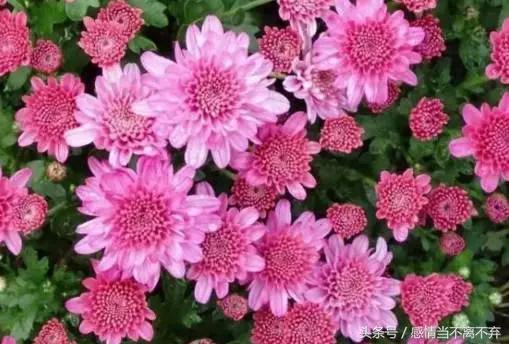 打工幽默顺口溜句子,卖货搞笑顺口溜经典句子