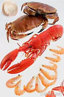 敏感性皮肤怎么治疗,敏感性皮肤用什么护肤品好