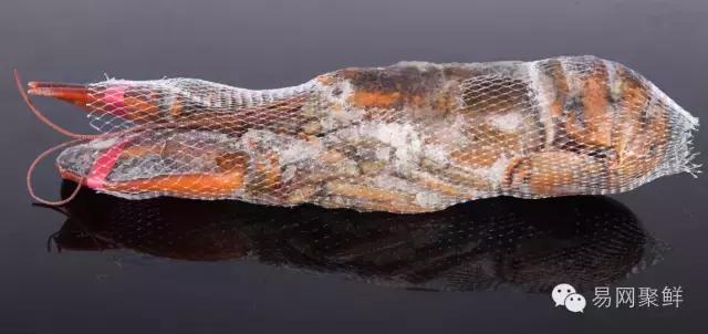 海鲜陆冻和船冻,船冻海鲜好还是鲜活海鲜好