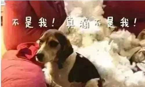 重庆人小时候就是这样扯靶子的,豁得妈老汉脑壳痛!