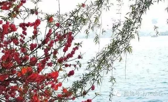 写给母亲的千古情,写给母亲的百封家书