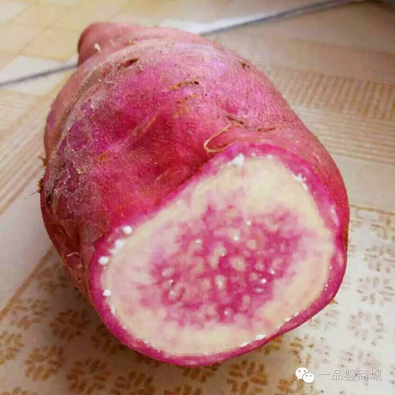一点红最高档的红薯,正宗南沙一点红紫心红薯