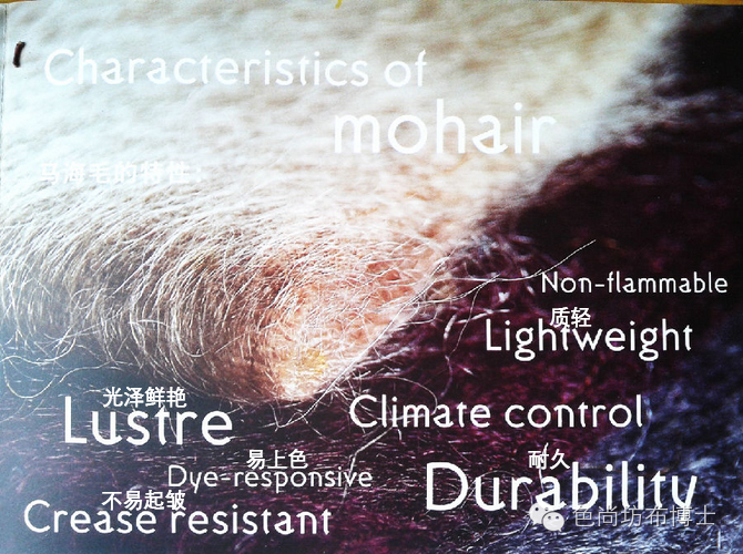 怎样判断面料是不是马海毛,马海毛是什么颜色的毛