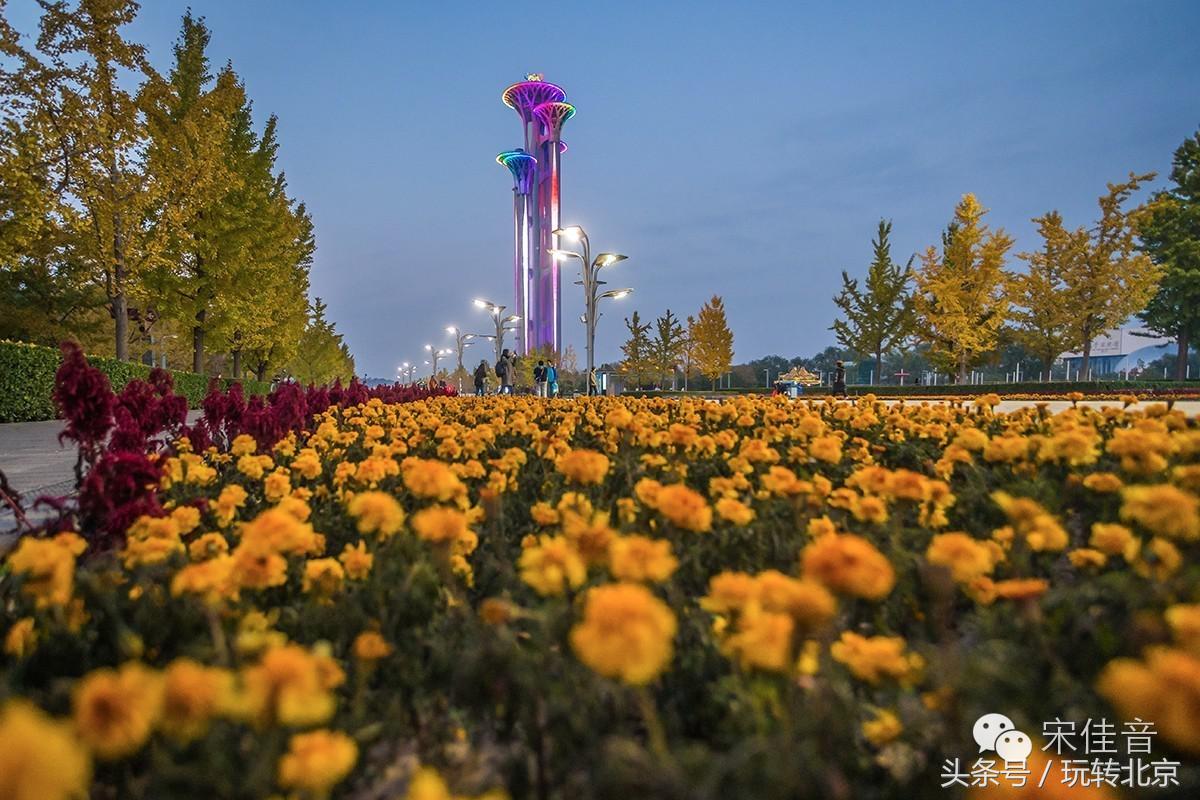 世界上最著名五塔,全世界最大的三塔连体建筑