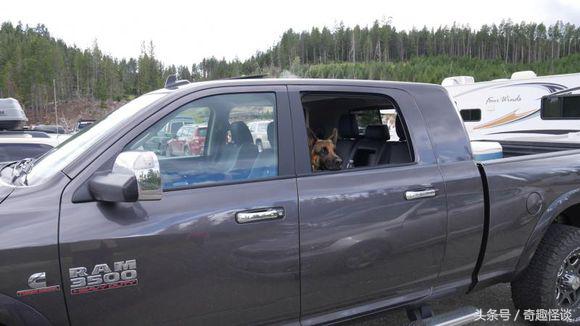 在美国旅游视频教学,美国自由行自驾游