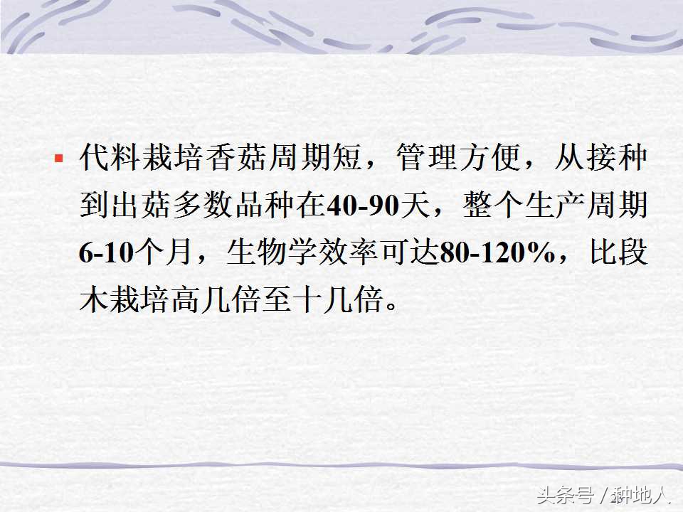 香菇栽培实用技术教案,屋顶香菇栽培