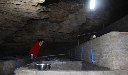 摸鱼摸出的大财富,年产值上亿