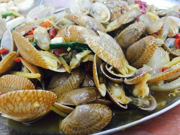 我的第一次出行视频,我的第一次不间断骑行100公里