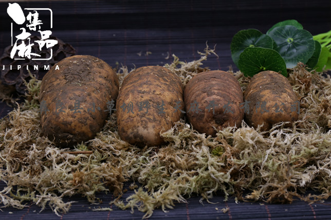 新鲜天麻炖汤中毒,新鲜天麻炖汤需要刮皮吗