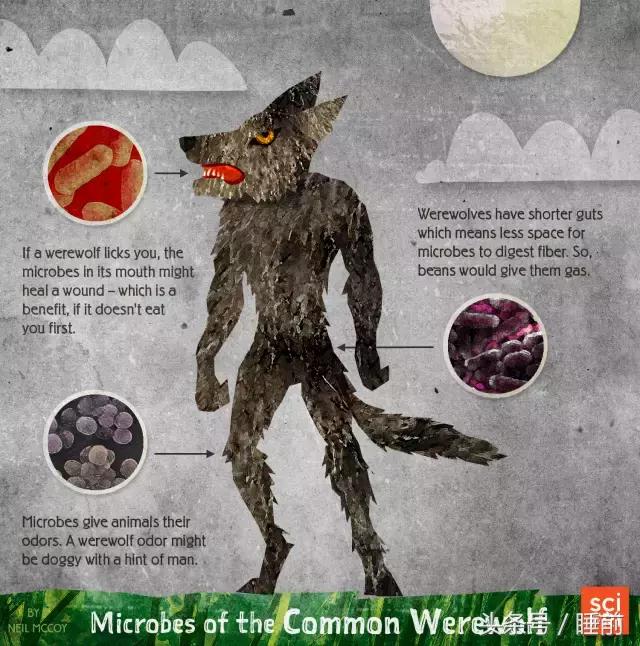 万圣节的趣味介绍,关于万圣节的趣味问题