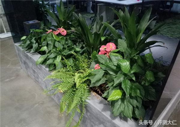 魅蓝5报价参数配置情况,魅蓝5到底值不值得买