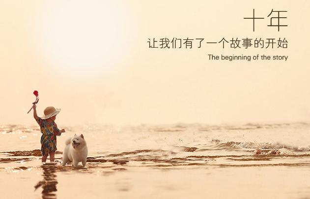 金毛老了,金毛老了有什么特征