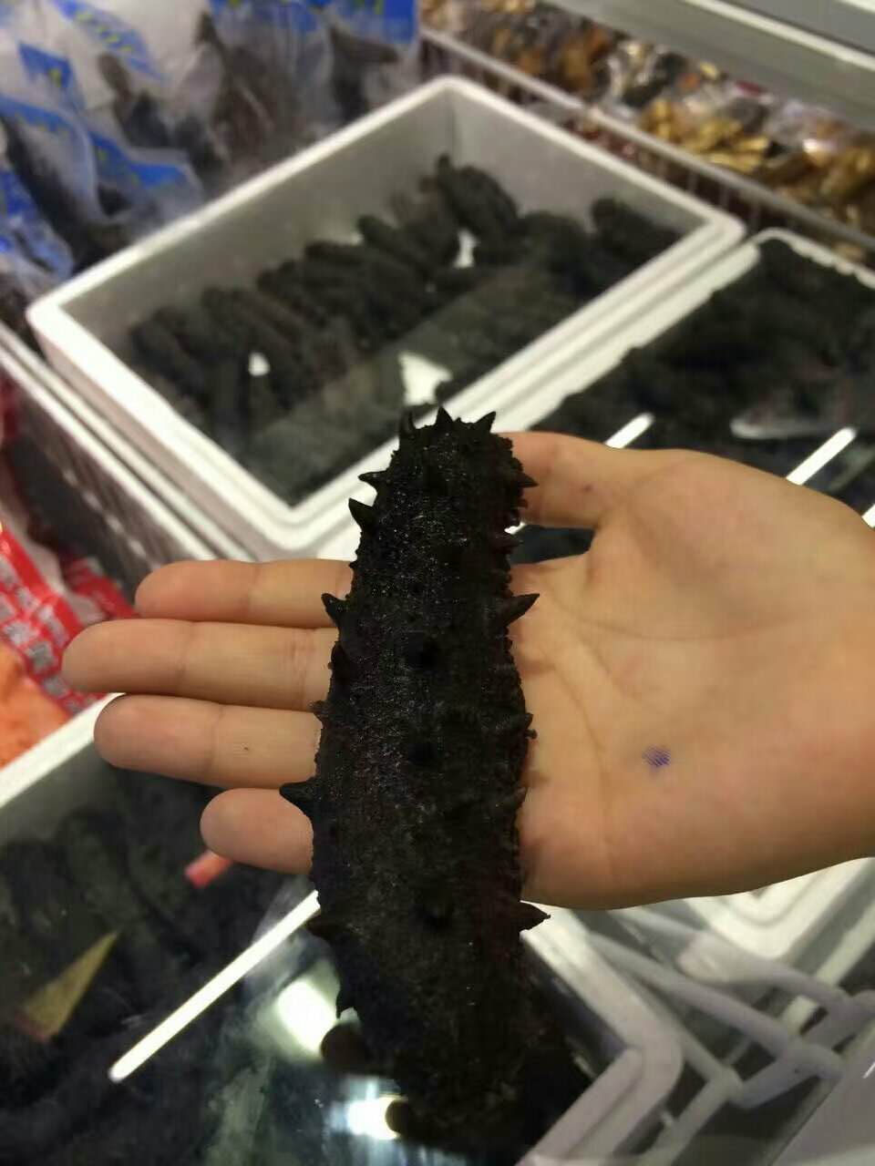 海参食用方法视频教程,海参的最佳食用方法