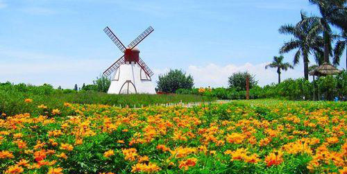 广州百万葵园一日游攻略,百万葵园二日旅游