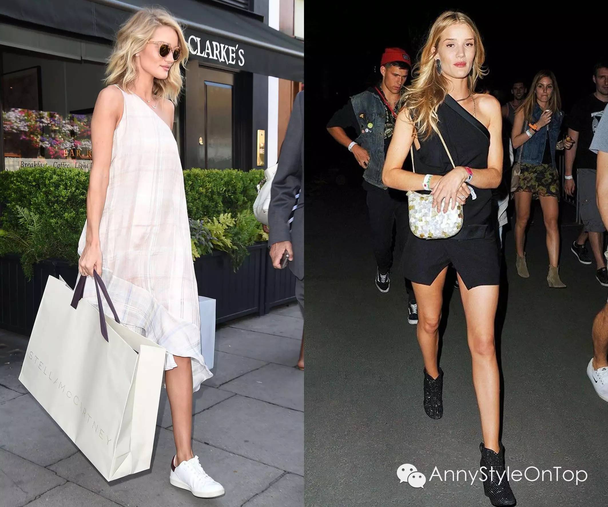 终极指南细说蚂蚁,2022年大趋势攻略