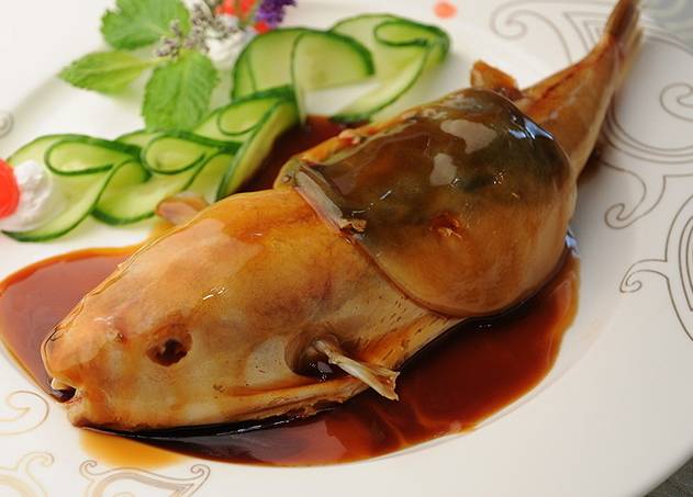 河豚被禁止了吗,河豚鱼禁售令