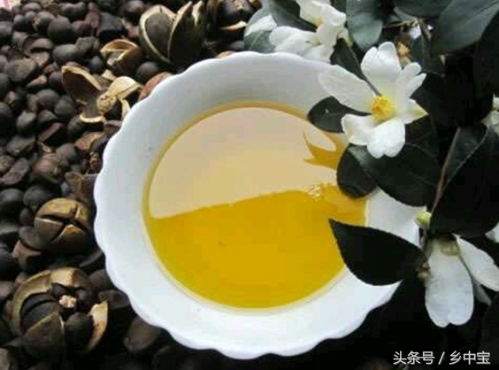 古老压榨山茶油,纯天然古法手工压榨山茶油