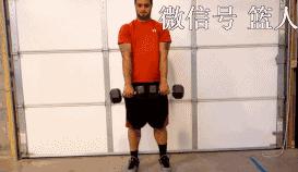 弓步蹲哑铃弹跳训练,体育生弹跳训练方法哑铃