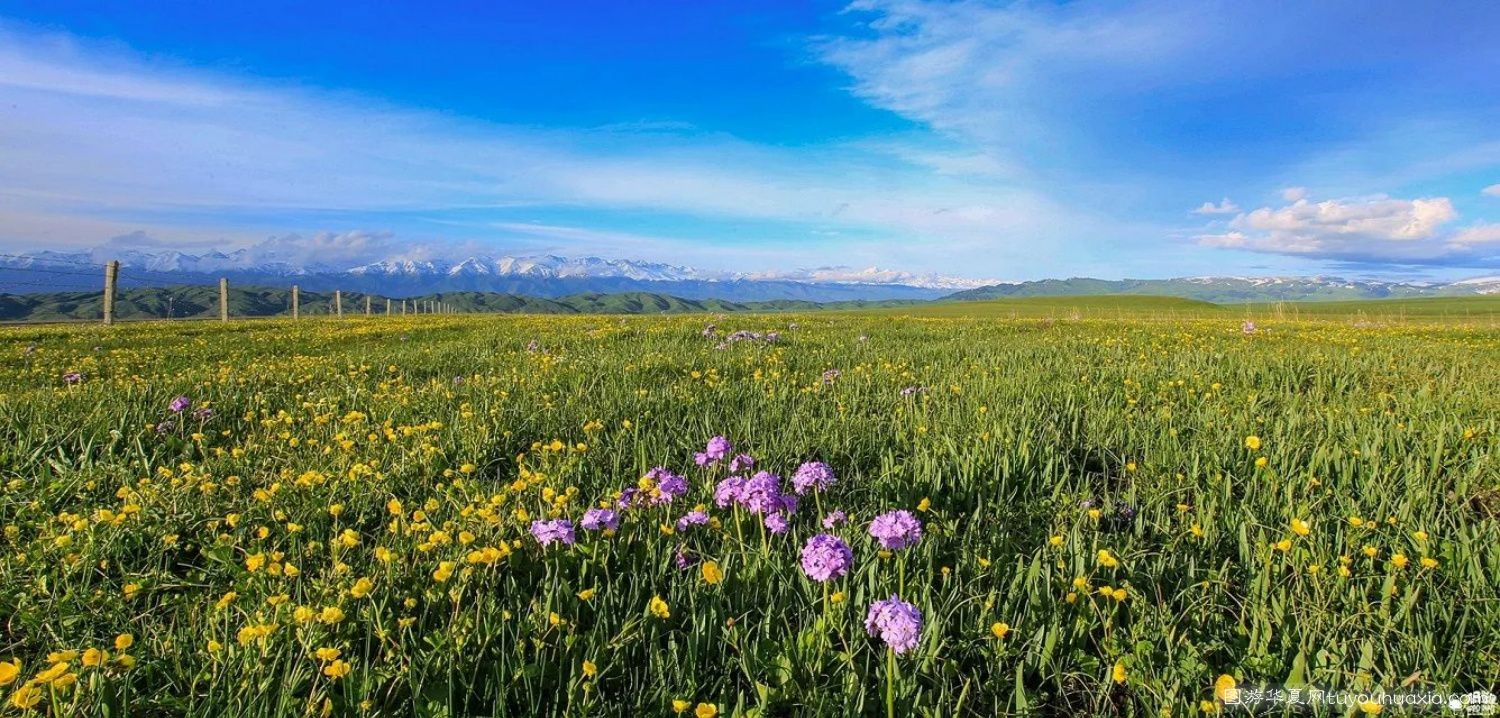 14张照片那拉提草原风景区 (美丽的那拉提草原真实图片)