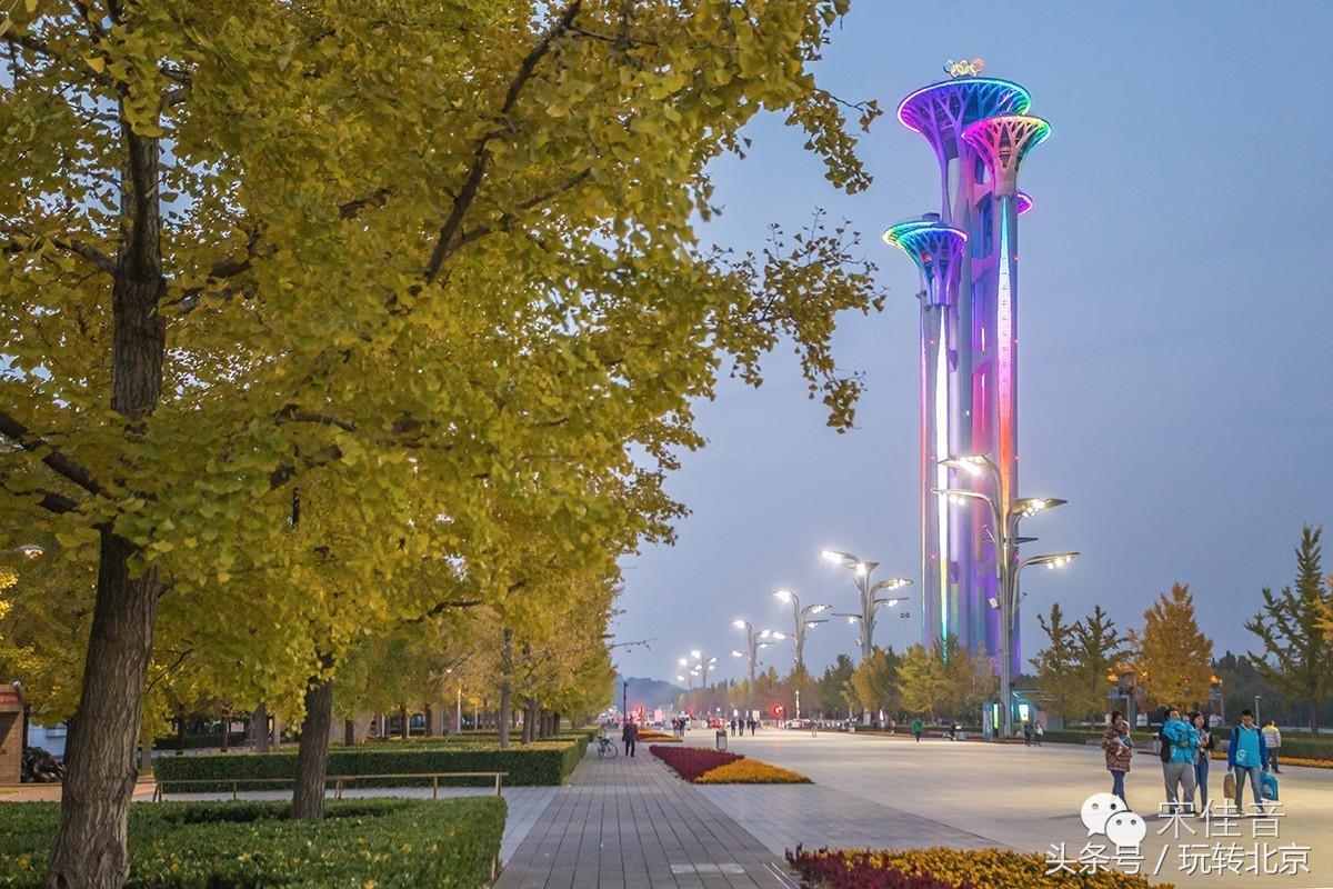 世界上最著名五塔,全世界最大的三塔连体建筑