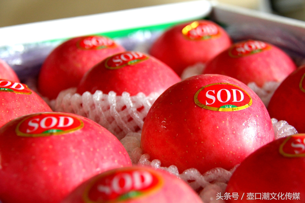 山西临汾神话故事,山西临汾吉县苹果视频